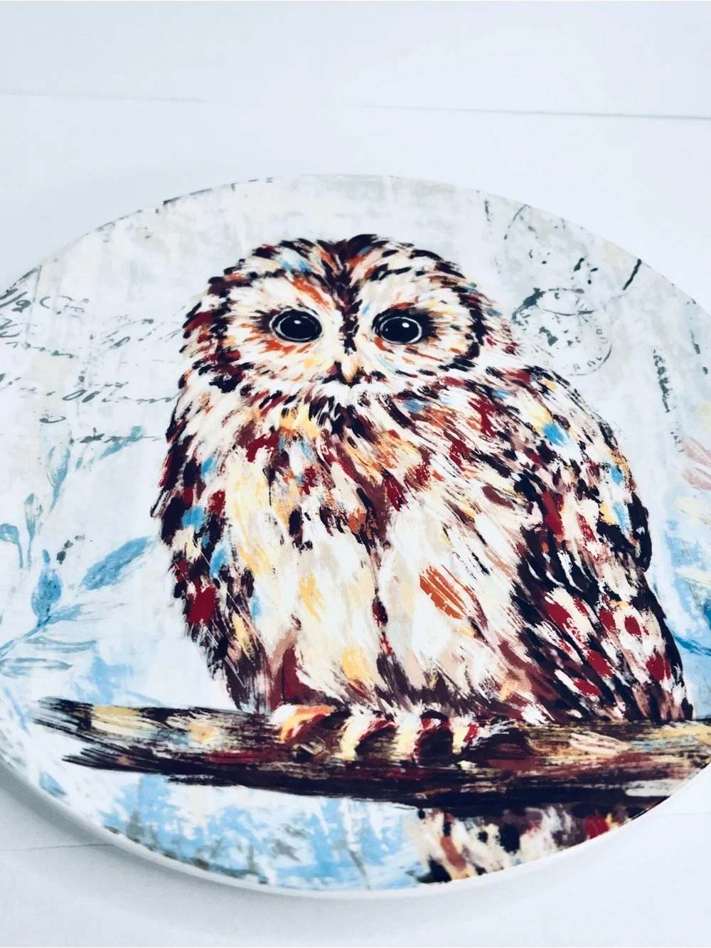 Pier 1 Imports Owl Salad Plate 8.75” Ironstone Woodland Bird Cottage Decor
